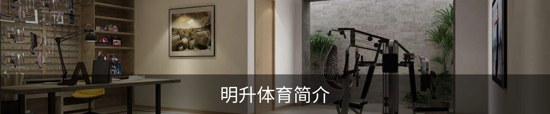 明升体育简介